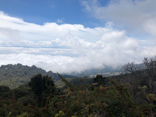 Costa Rica - Oreamuno - 