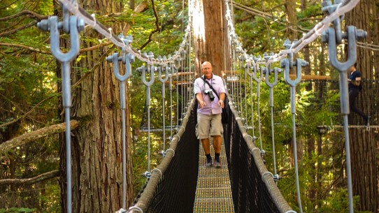 Neuseeland - Rotorua - Mit Detlef zusammen auf der Brücke wackelt das ganz schön