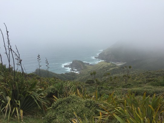 Neuseeland - Cape Reinga - 