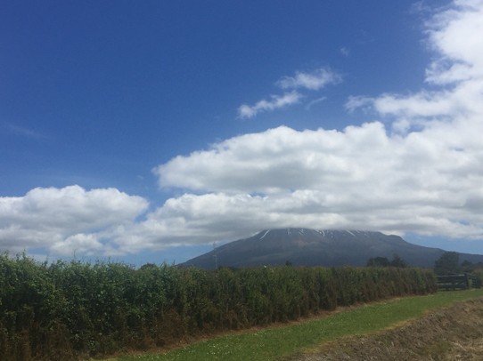  - Neuseeland, Mount Taranaki, Kapuni Loop Track - 