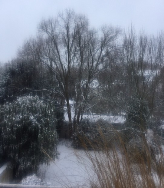 Deutschland - Ludwigshafen - First snow here today
