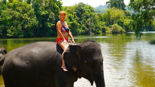Thailand - Khao Lak - Elefantenbaden