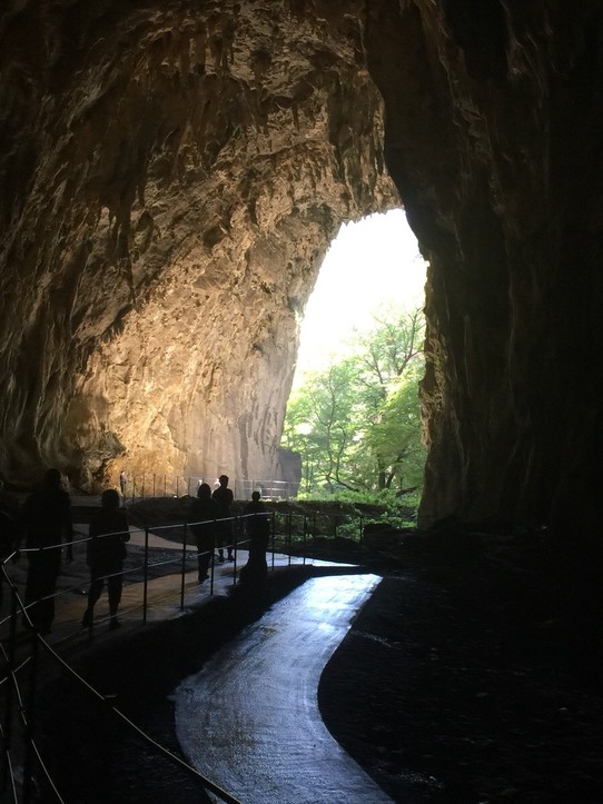 Slowenien - Divača - Höhlenausgang in Schlucht