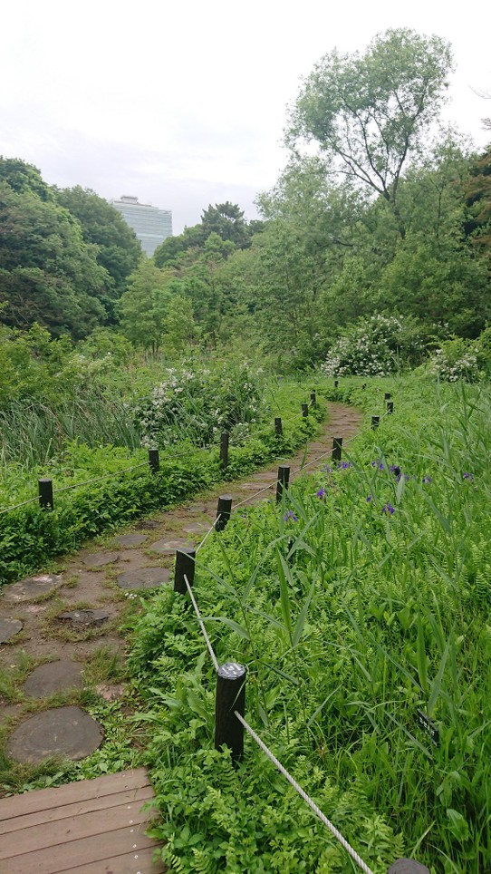 Japan - Shibuya - Zurück zur Realität? Ein Gartenspziergang!