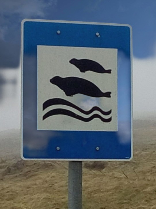 Island - Súðavíkurhreppur - Wir fahren an diesem Schild vorbei und erst einige Sekunden später verstehen wir, was dieses Schild bedeutet! Und halten die Augen offen...