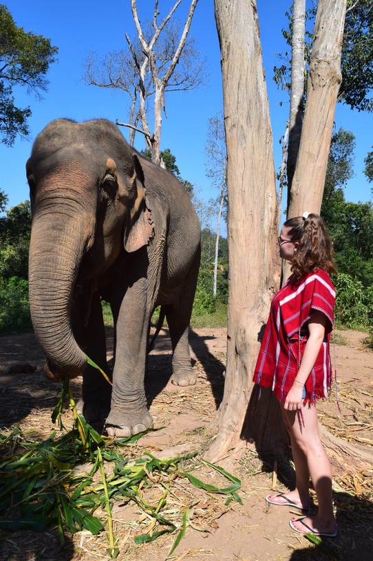 Thailand - Chiang Mai - Jana mit dem Elefant