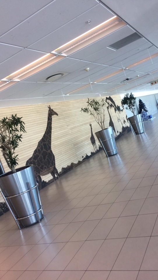 Südafrika - Matroosfontein - Airport Cape Town -> die letzten Weihnachtsgeschenke werden besorgt 