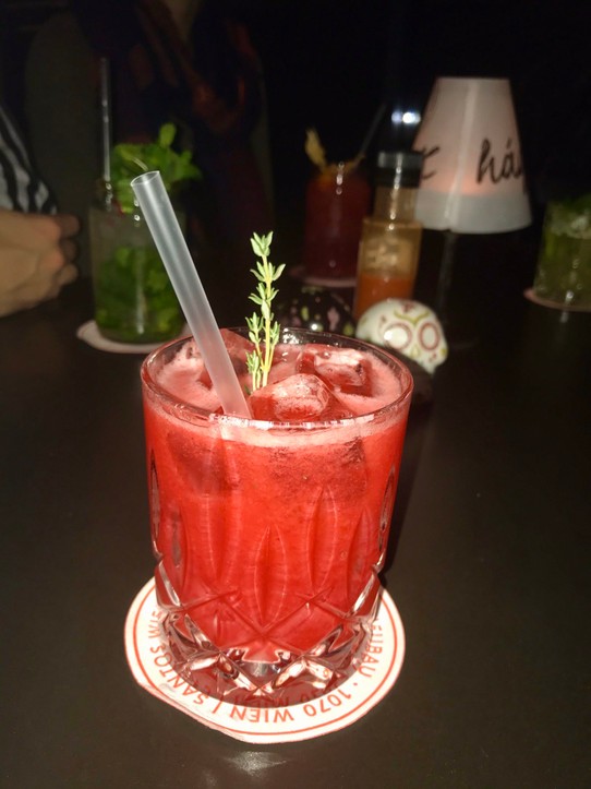 Österreich - Wien - Bar hopping | Rosemary | Raspberry | Gin  | Soda