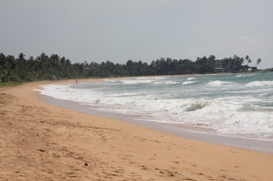 Sri Lanka - Mirissa - 