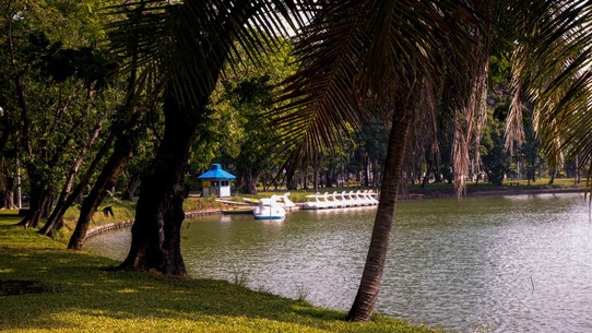 Thailand - Bangkok - Wir haben einen Park in der Nähe, da kann man wenigstens mal raus