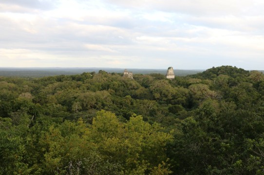 Guatemala - Tikal - 
