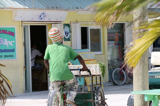 Belize - Caye Caulker - Reggae-Typ unterwegs auf dem Rad