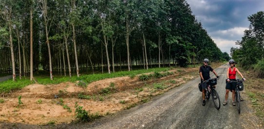 Thailand - Amphoe Lamae - Die Ruhe vor dem Hund. 
Auf abgeschiedenen Wegen durch die Plantagen. Stellenweise ist man schon auf sehr abgeschiedenen Pfaden unterwegs und in der unmittelbaren Nähe hallt das Gebell der Wachhunde durch das Geäst.