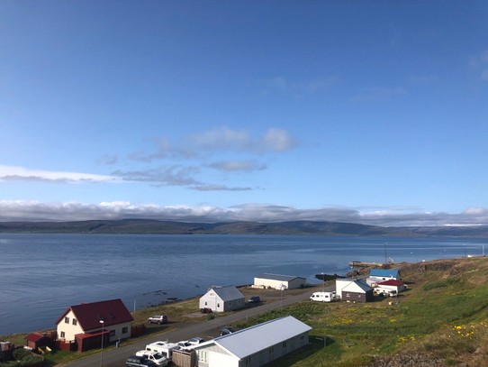 Island - Drangsnes - Und auch heute morgen muss man nur in Ruhe auf den Steingrímsfjörður schauen und schon sieht man da und dort die Walfontänen und dann die Wale auftauchen. So schön. 