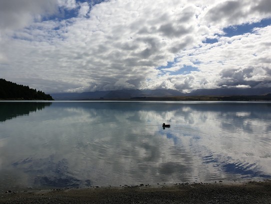 Neuseeland - Lake Tekapo - 