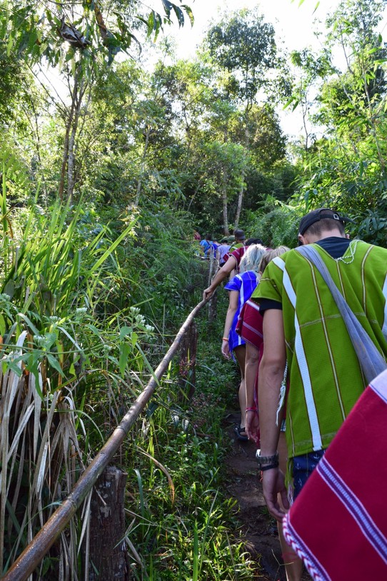 Thailand - Chiang Mai - Mit der Gruppe durch den Jungle zu den Elefanten 
