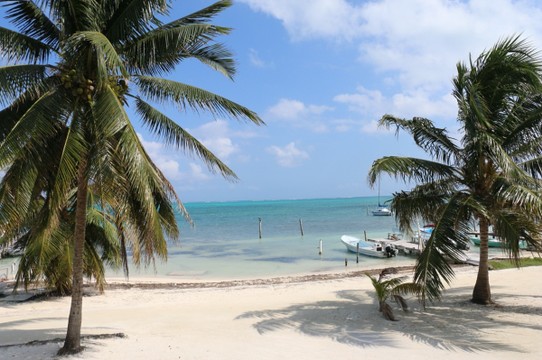 Belize - Caye Caulker - 