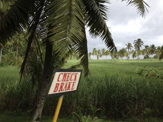 Philippinen - Malapascua Island - Sugar cane fields from Cebu Island