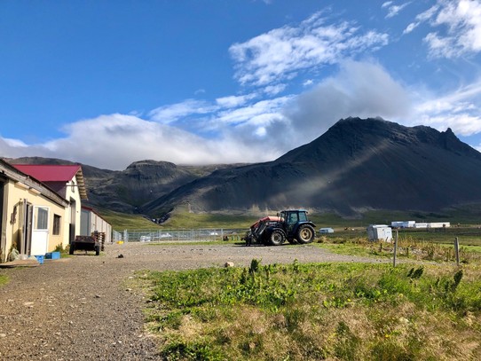 Island - Snæfellsbær - Wir starten den Tag heute auch mit einem Ausritt. Wir fahren zum nahegelegenen Hof Lýsuhóll, der mir bei dem Island Diavortrag „Im Rausch der Sinne“ von Dirk Bleyer aufgefallen ist:

https://www.explora.ch/programm/island-394