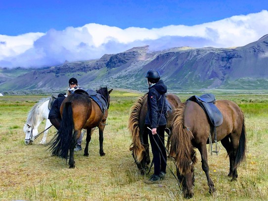 Island - Snæfellsbær - Kleine Rast... Und unsere Begleitung macht es echt super. Die Mädels kümmern sich toll um uns... und die Wolken weichen keinen Millimeter von den Bergen weg...