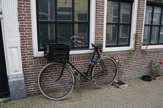 Niederlande - Haarlem - 