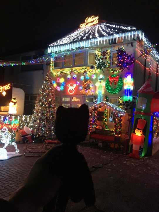 United Kingdom - London - Some people have crazy Christmas lights!