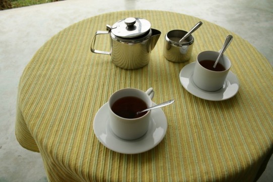 Sri Lanka - Ella - Angekommen – Teatime