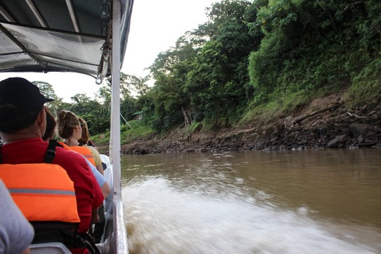 Peru - Puerto Maldonado - mit dem Boot ging es für etwa 2,5h über den Tambopata River, einem Zufluss zum Amazonas