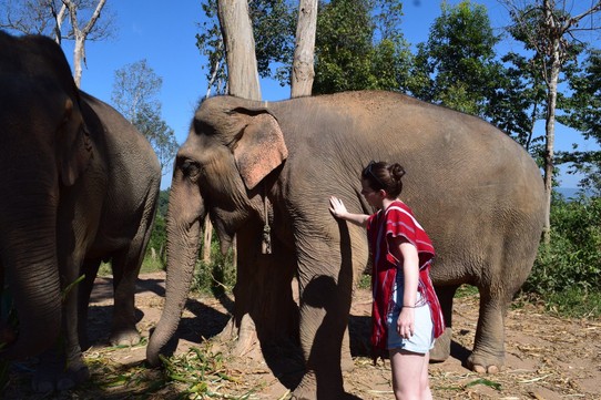 Thailand - Chiang Mai - Ich mit dem Elefant