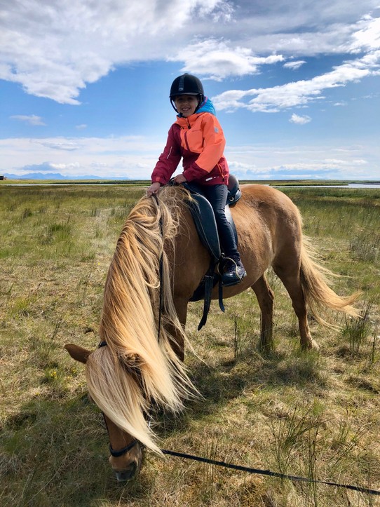 Island - Snæfellsbær - Und Lenas Pferd benimmt sich auch tadellos 👍