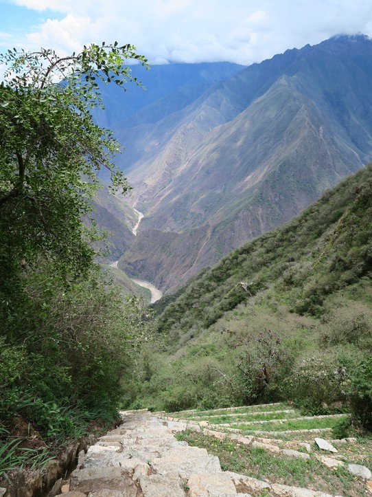 Peru - Choquequirao - Les terrasses