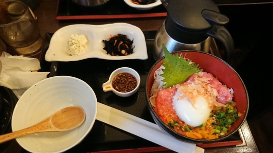 Japan - Narita - Unser letztes Japanisches Mittagessen - Fisch auf Reis