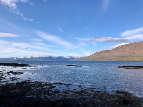 Island - Súðavíkurhreppur - Erst vor ein paar Metern, stand das Hinweisschild am Strassenrand, dass auf eine Robbenkolonie hingewiesen hat... Und tatsächlich schwimmen hier im Fjord Seehunde herum... Unglaublich irgendwie...  Und hinten in der Ferne immer noch die Insel Vigur und Snæfjallaströnd...