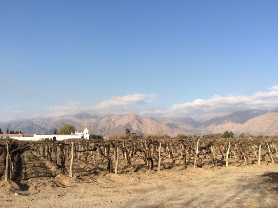 Argentinien - La Viña - Wir lassen die grosse Weinregion Cafayate (komplett künstlich bewässert) hinter uns