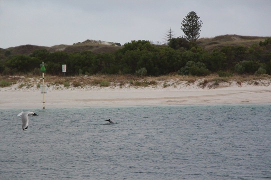 Australien - Eagle Bay - Unser Schlafplatz für unsere drei Nächte in Esperance. Einen Abend haben wir sogar Delfine gesehen❤️