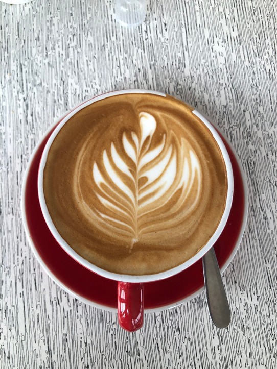 Neuseeland - Lyttelton - Ein wunderschöner Kaffee mit Farnblatt, der auch sehr fein schmeckte. 