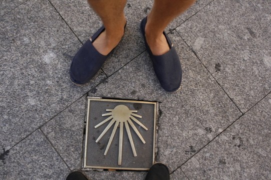 Spanien - Salamanca - Das Symbol der Muschel ist überall im Norden von Spanien zu finden.