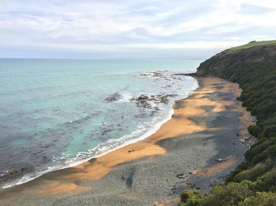 Neuseeland - Oamaru - Schau genau, null Zoom am iphone, aber da unten, am Strand, da läuft ein Gelbaugenpinguin zum Ufer - toll! Wir haben mehrere "Heimkehrer" gesehen!