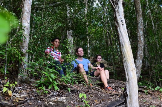 Guatemala - El Zotz - Ganz oben angekommen - mit Blick über den gesamten Dschungel
