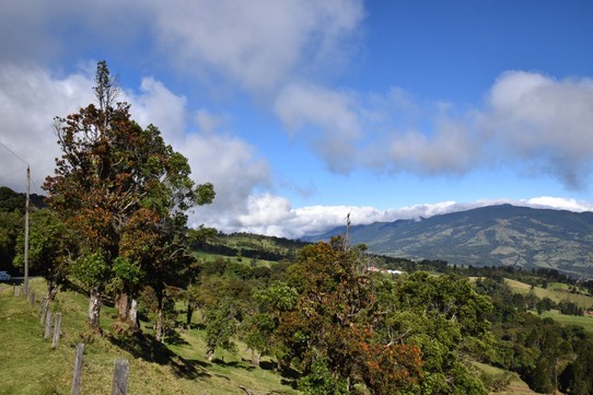 Costa Rica - San José - Eigentlich wollten wir nochmals ins Gebirge zu einen Vulkan, doch der Park hatte schon geschlossen als wir ankamen.