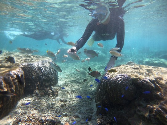 Japan - Naha - Unterwasser gibt es viele bunte Fische zu sehen!
