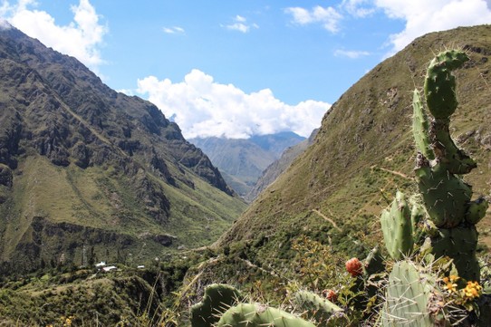 Peru - unbekannt - entlang des Rio Urubambu, der bis zu Machu Picchu Stadt führt