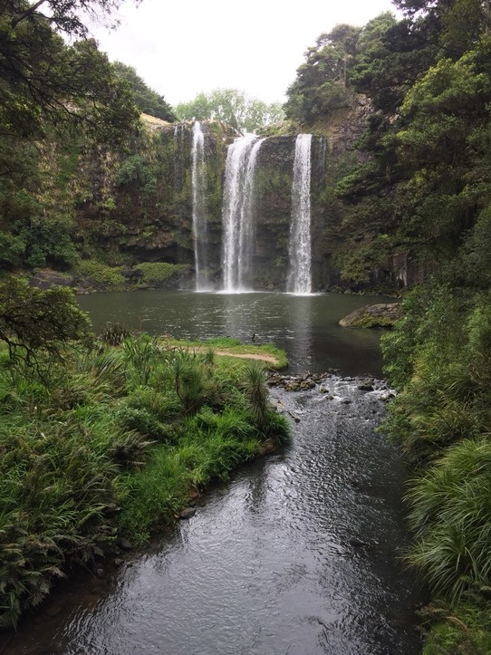  - Neuseeland, Whangarei, Whangarei Falls - 