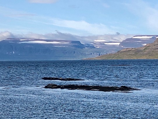 Island - Súðavíkurhreppur - Man kann die Robben sogar hin und herschwimmen sehen...