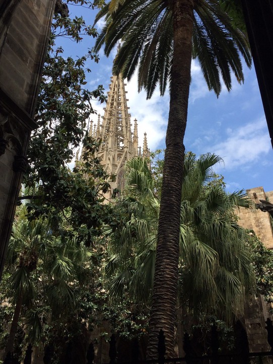 Spanien - Barcelona - Garten der großen Kathedrale