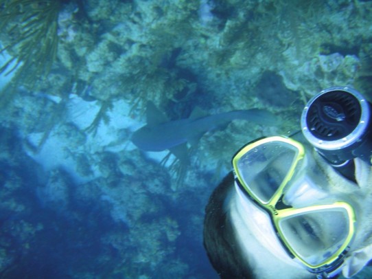 Belize - Caye Caulker - Selfie von Stephan mit einem Hai 