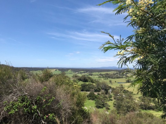 Australien - Narooma - Landschaft, ähnlich wie Allgäu