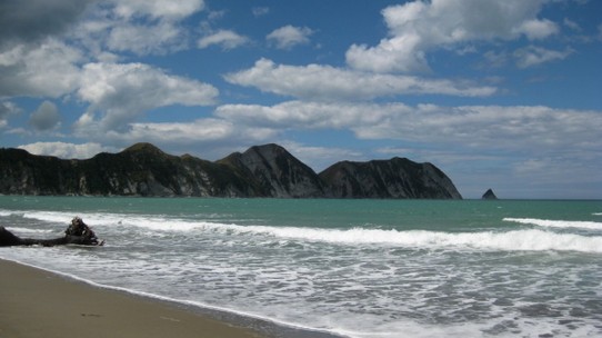 Neuseeland - Tolaga Bay - 