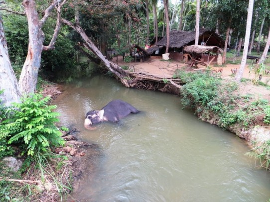 Sri Lanka - Sigiriya - Elefantenbadewanne