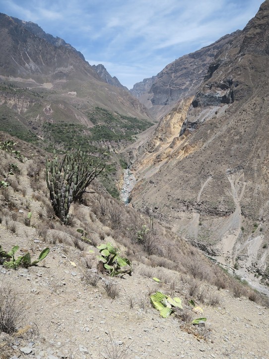 Peru - Cabanaconde District - 